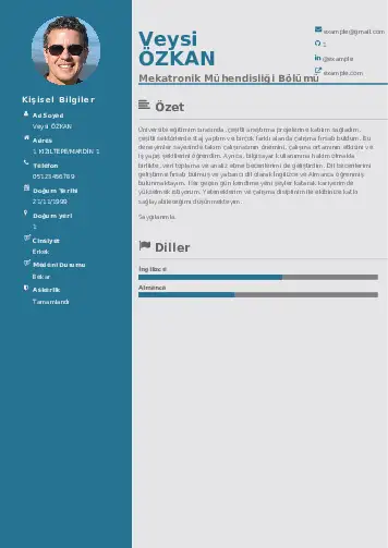 Mekatronik Mühendisliği Cv Örnekleri cv indir